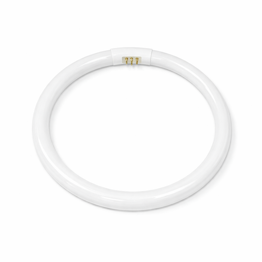 Ampoule circulaire led - pièce lampe loupe